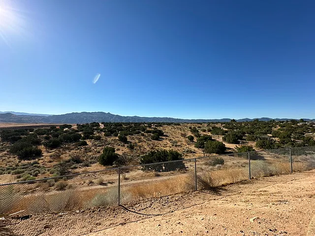 View from back yard