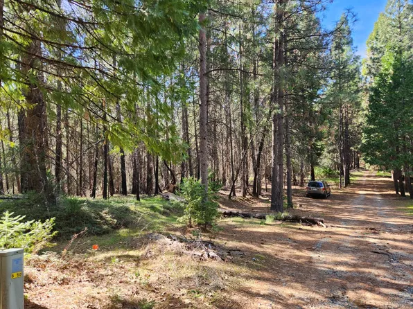 5303 Old Mine Rd, Grizzly Flats, CA 95636