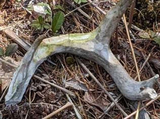 6715 Friedrick Rd, Ocqueoc, MI 49759