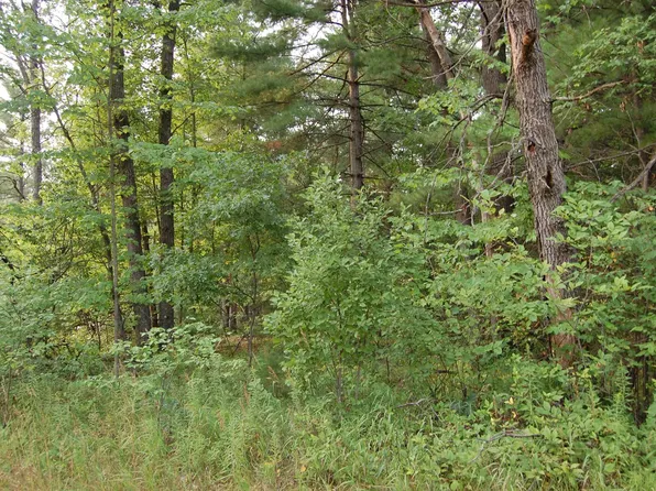 21-22 George St, Prescott, MI 48756