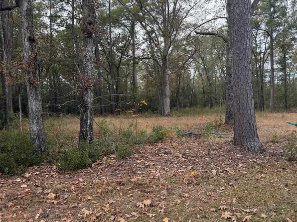 335 Byrnes Circle, Johnsonville, SC 29555