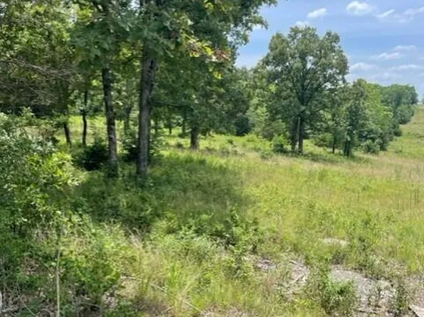 Tbd Tick Mountain Drive, Shell Knob, MO 65747