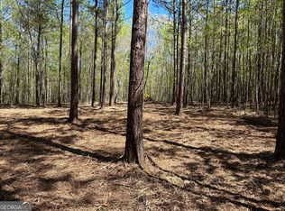 2486 Highway 54 LOT 5, Moreland, GA 30259