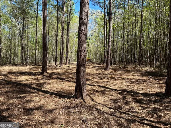 2486 Highway 54 Lot 5, Moreland, GA 30259