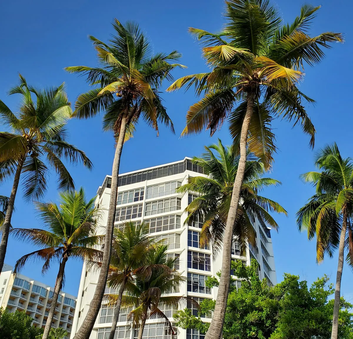 3 bed, $4,890 — Photo 2