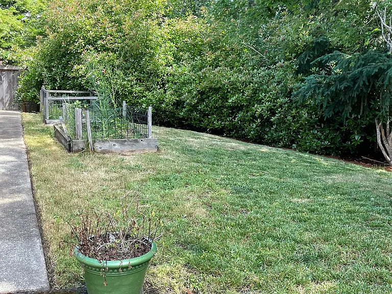 2456 Blackburn St — Photo 18
