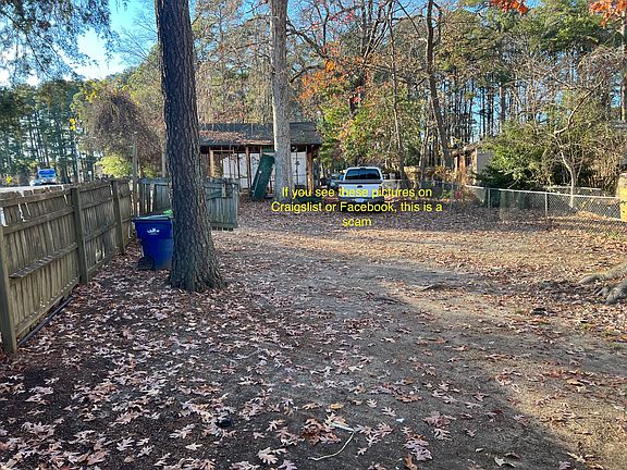 Back yard from back door