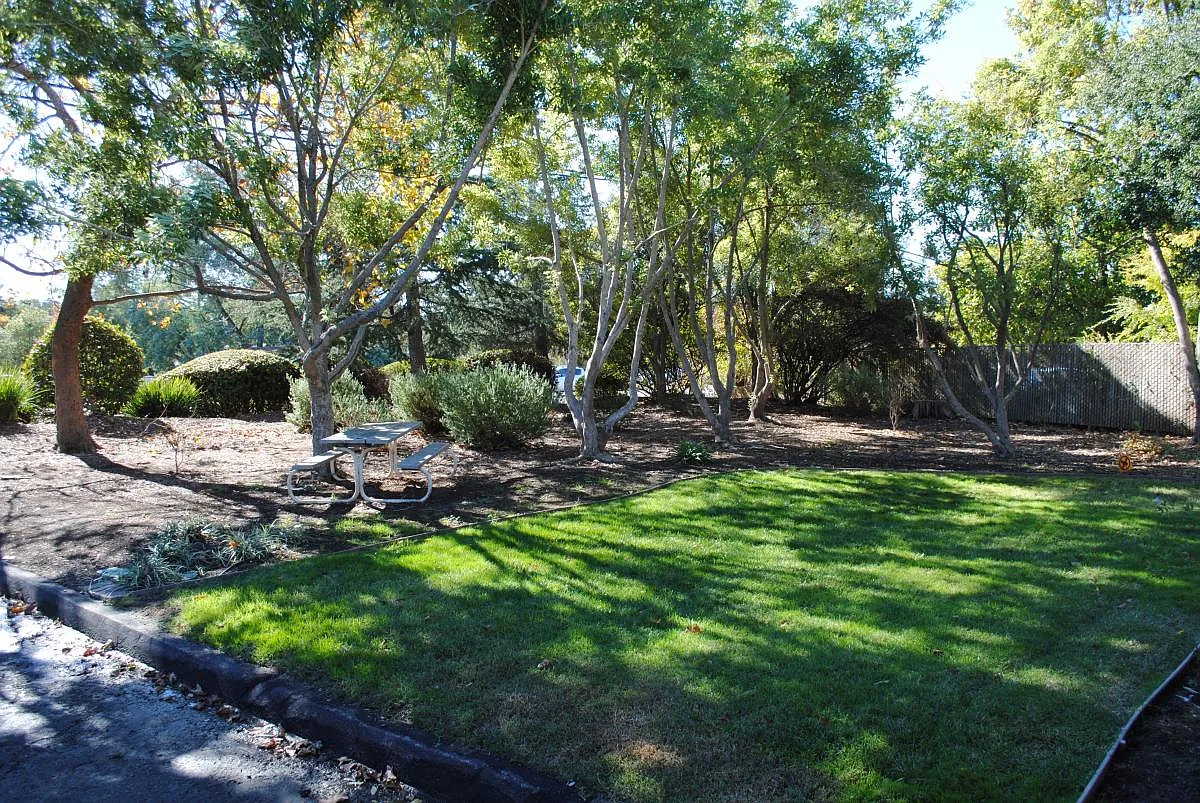 2 bed, $3,175 — Photo 2