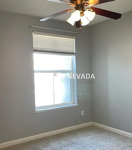 4900 Bougainvillea Cir — Photo 12