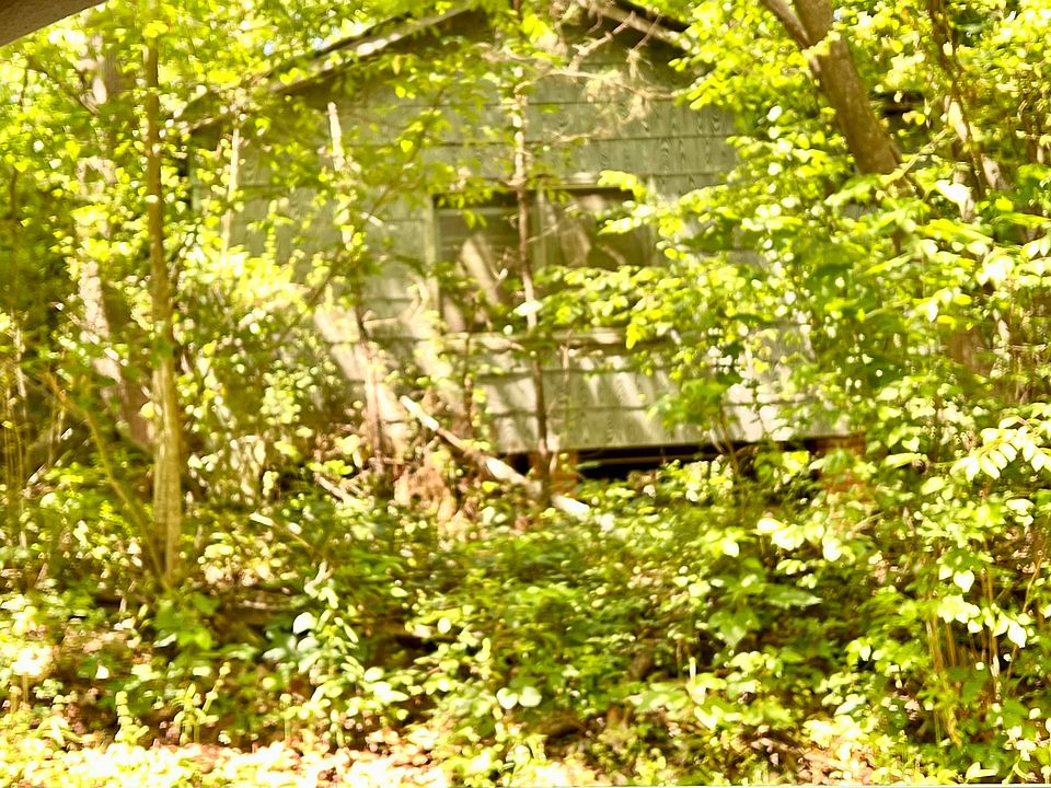 2nd image of 65 Shell Ln #1