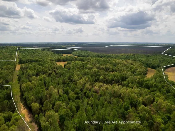 0 Elk Pond Creek Rd, Greenville, KY 42345