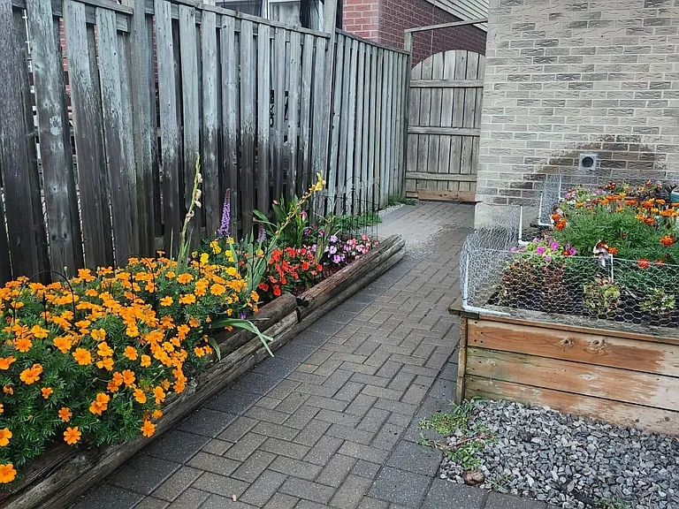 56 Barnes Dr — Photo 7