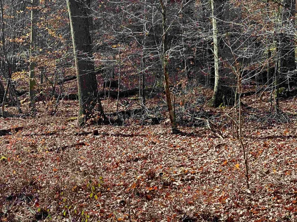 Tappan Rd, Bridgeport, WV 26330