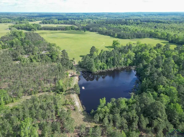 Fm 995, Atlanta, TX 75551