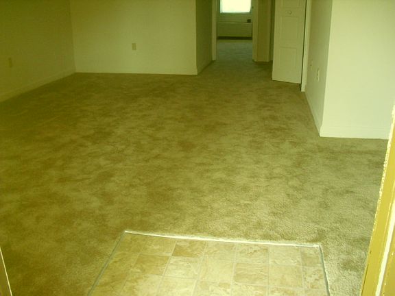 Entry/Living room