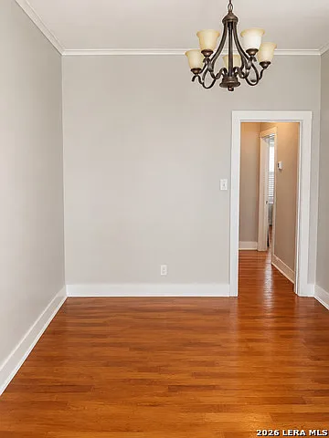 317 Blue Bonnet Blvd — Photo 4