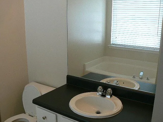 Master Tub