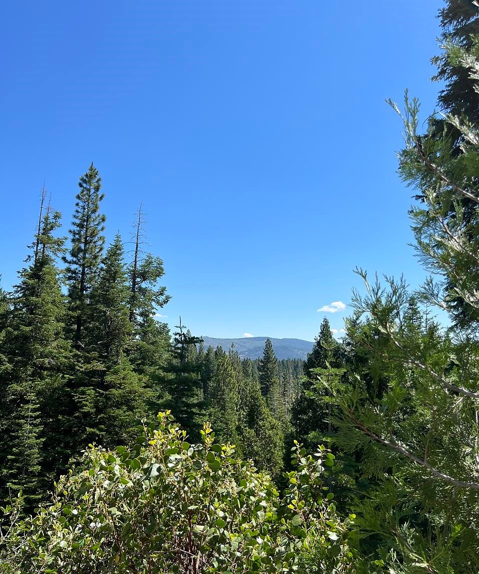 1350 Lodgepole Trl, Johnsville, CA 96103 Zillow