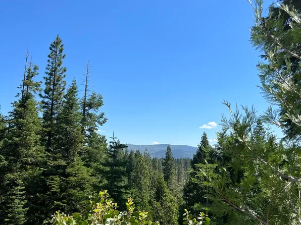 1350 Lodgepole Trl, Johnsville, CA 96103