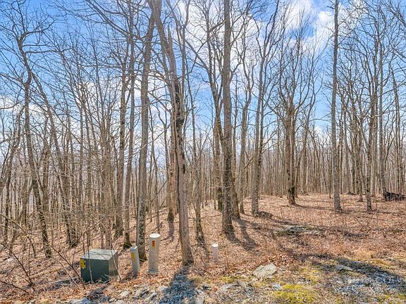5th image of Lot 86 Elk Mountain Parkway