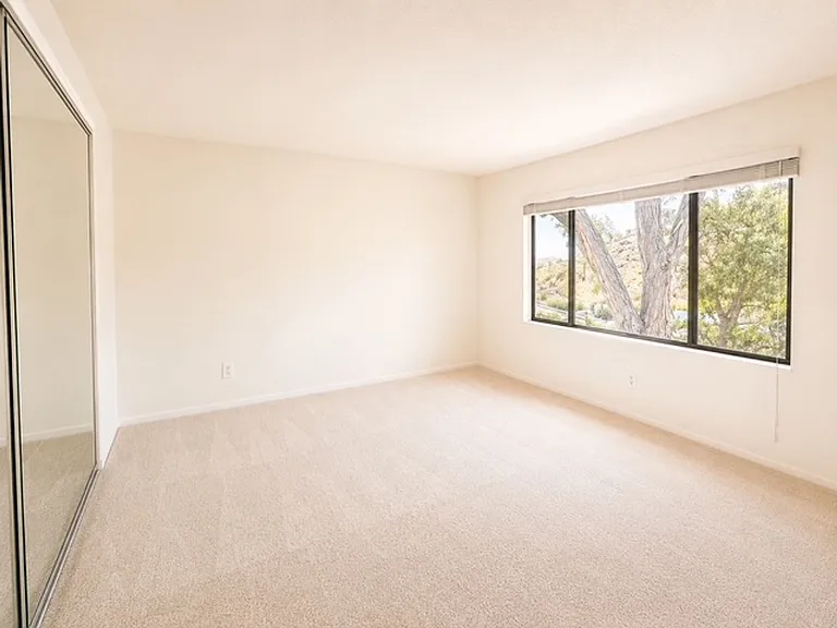 5451 Caminito Borde — Photo 19