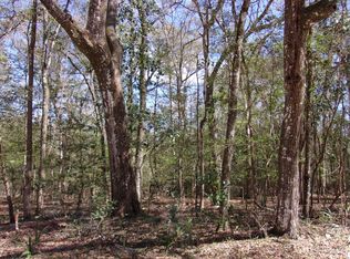 SW Manatee Ter, Fort White, FL 32038