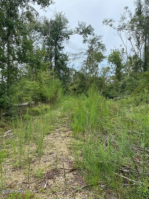 2nd image of 1646 Turtle Bend Ln