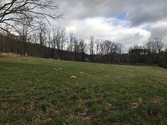 3rd image of 169 Bradford Hill Rd