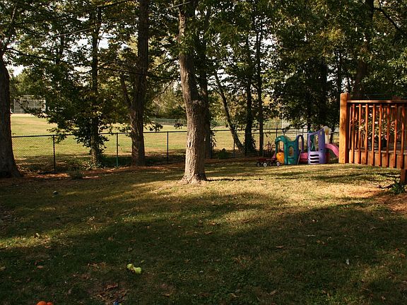View of the Back Yard