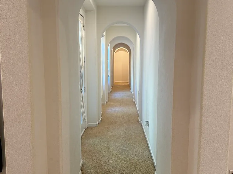 3001 Sweetviolet Dr — Photo 6