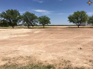 423 Hamilton Pl, Carlsbad, NM 88220