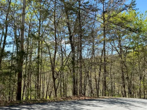 Mountain Tops Rd, Blue Ridge, GA 30513