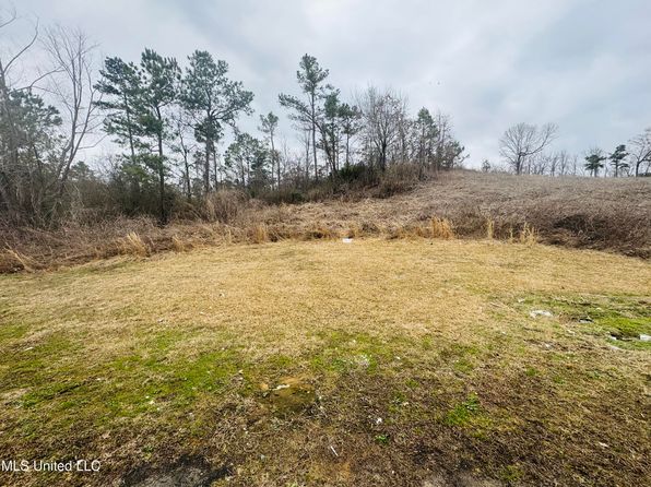 111 Karen Cv, Holly Springs, MS 38635