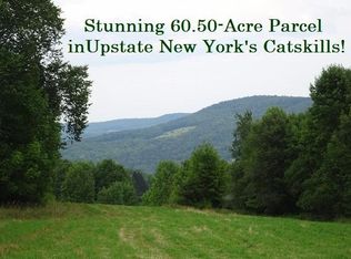 Roof Rd, Sidney, NY 13838