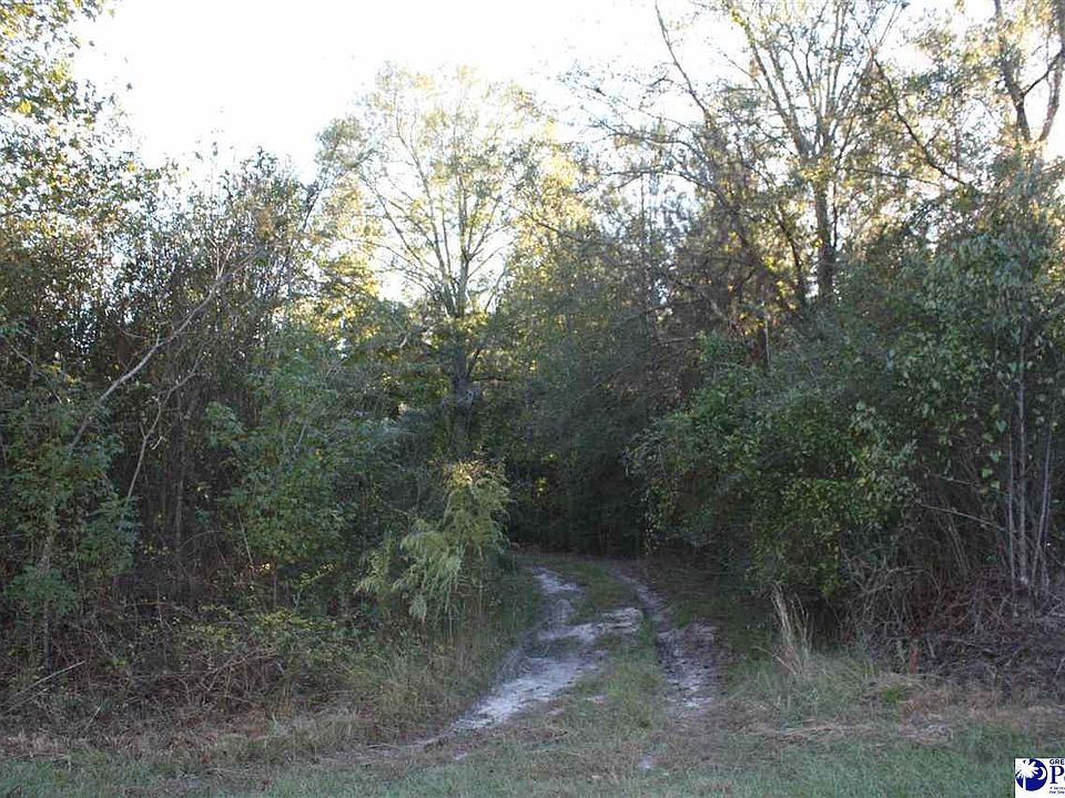 2nd image of Sumters Landing Rd