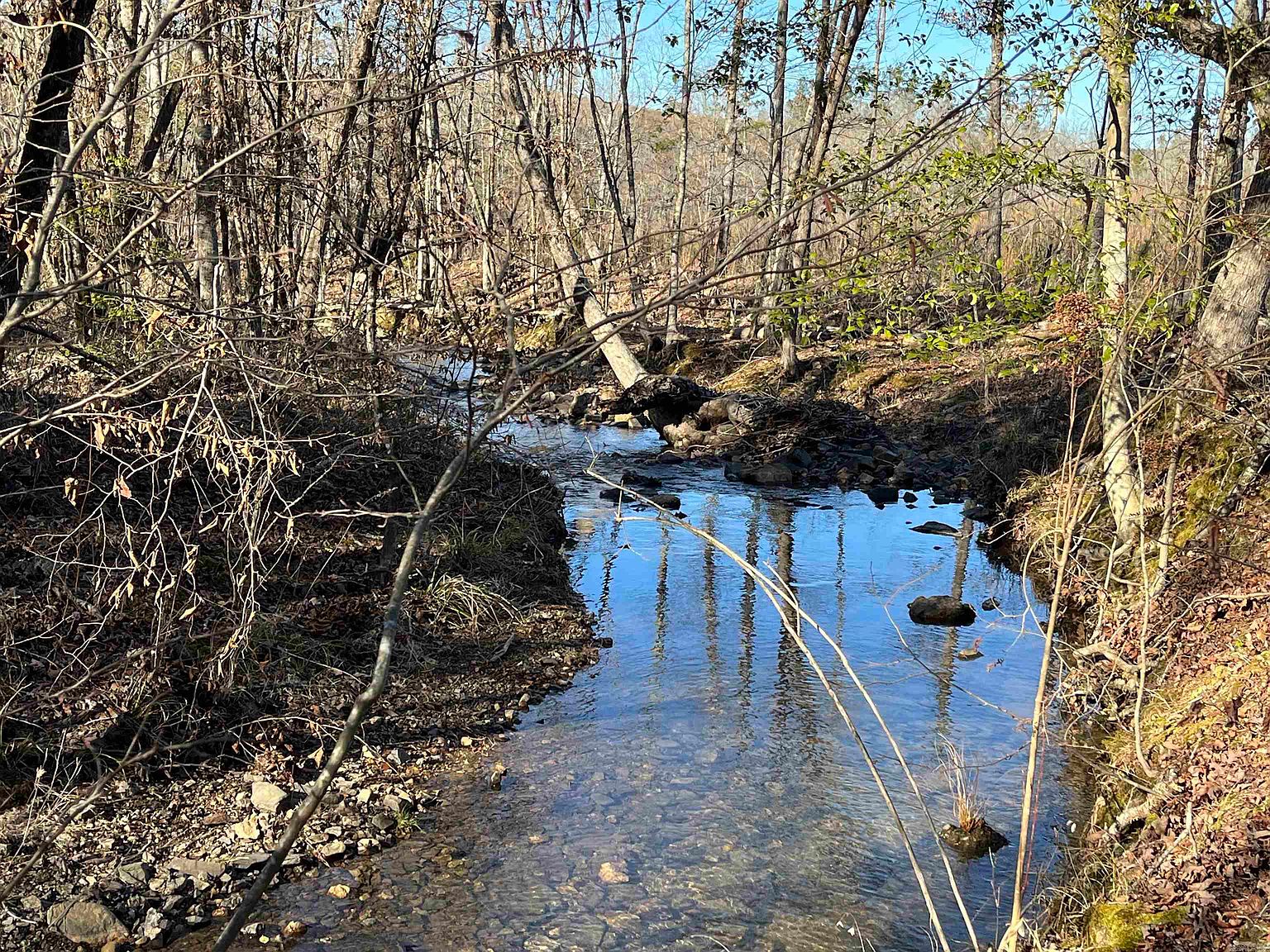 9999 Forest Rd NW31, Vandervoort, AR 71972 MLS 24002103 Zillow