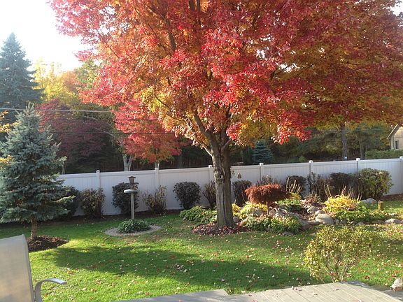 2nd image of 38241 Charwood Dr