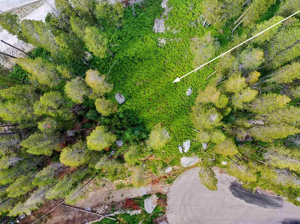 22028 Lotta Crabtree Ter, Soda Springs, CA 95728