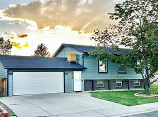 4303 S Yank St, Morrison, CO 80465