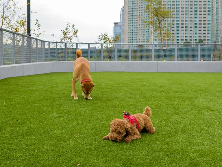 Luxury for every family member-our dog run is a playful paradise for pets.