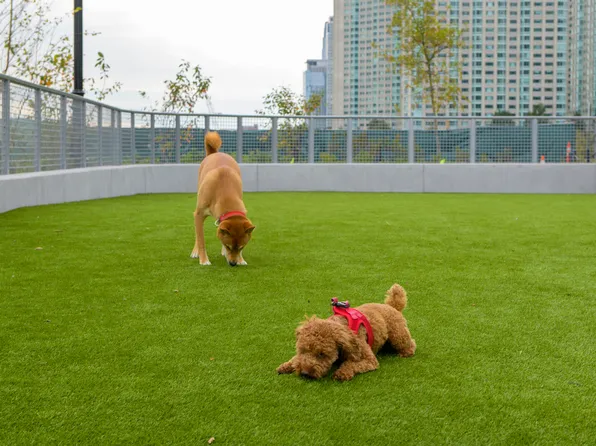 110 River Drive image 15 of 23