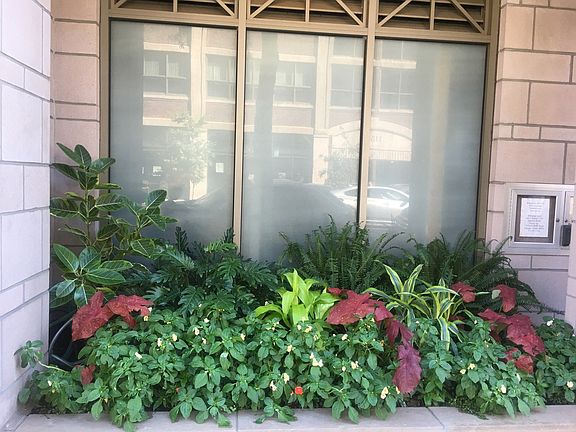 2nd image of 1155 W Armitage Ave APT 602