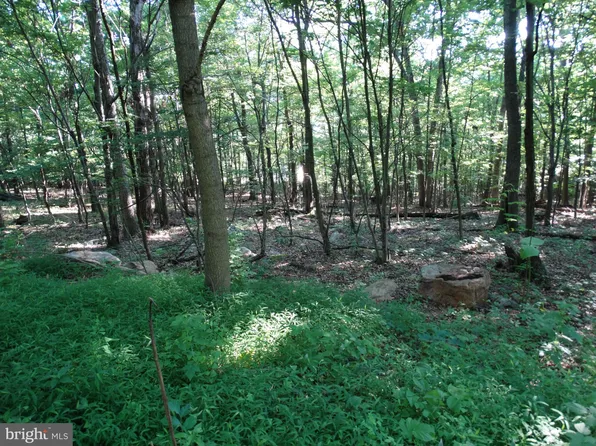 11430 National Pike, Clear Spring, MD 21722