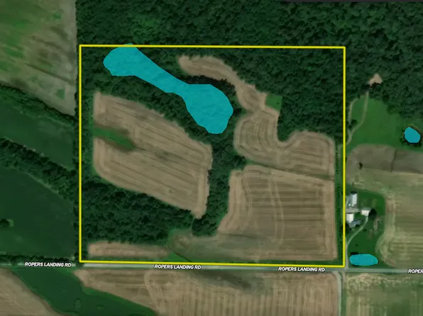 Ropers Landing Rd Lot Wp001, Golconda, IL 62938