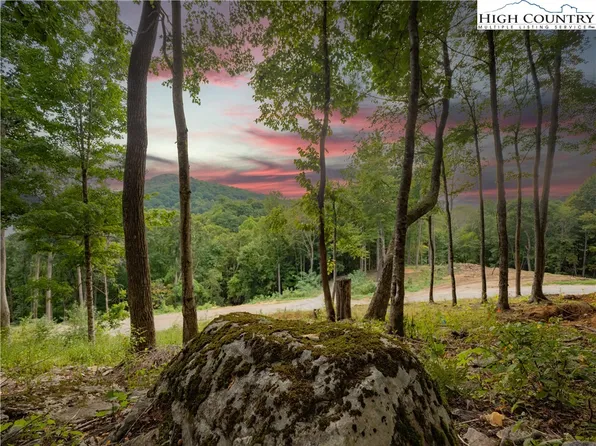 C120 Springwater Lane, Banner Elk, NC 28604