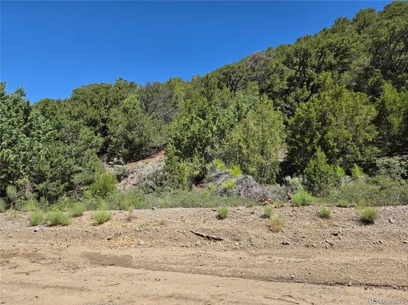 Lot 5046 Joy Road, Fort Garland, CO 81133