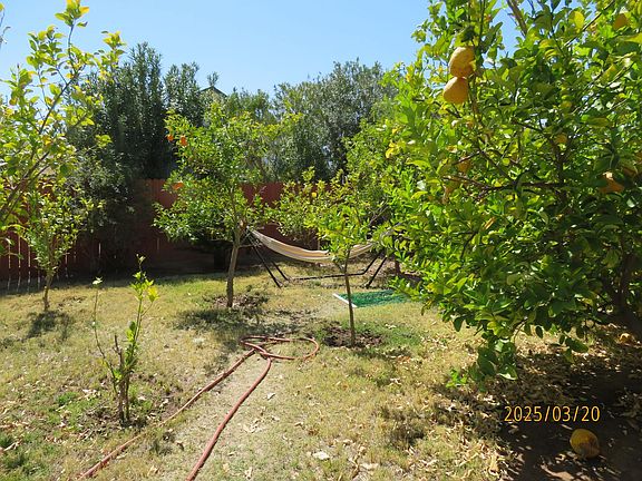 3rd image of 2383 W Le Marche Ave