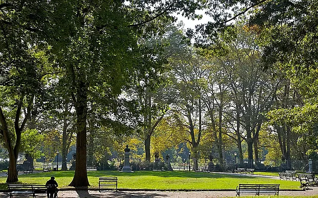 Rented by Urban Pads | media 10