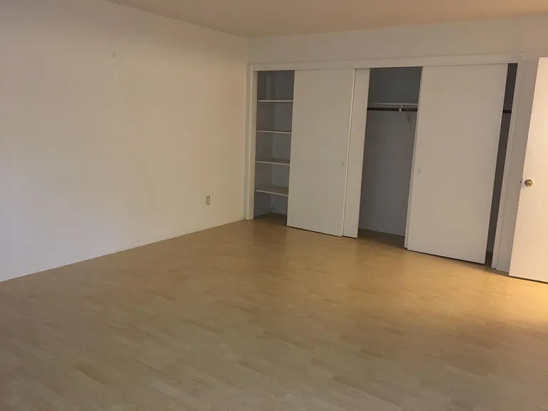 extra large bedroom with plenty of closet space,