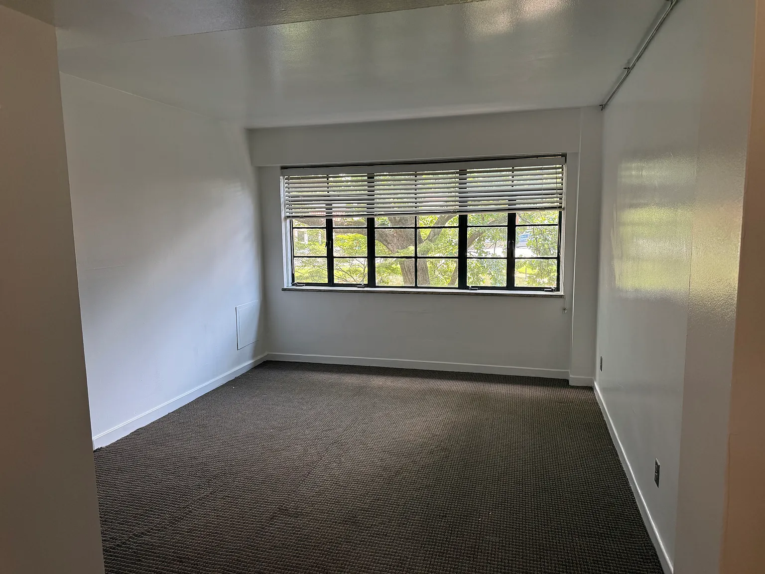 1 bed, 524 sqft, $950 — Photo 3